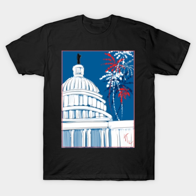 A Capitol Fourth Fireworks T-Shirt by LITDigitalArt